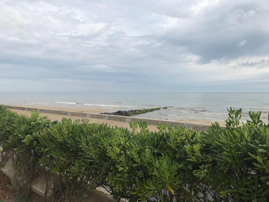 Vue Exceptionnelle En Front De Mer, 8 Personnes Ver-sur-Mer 외부 사진